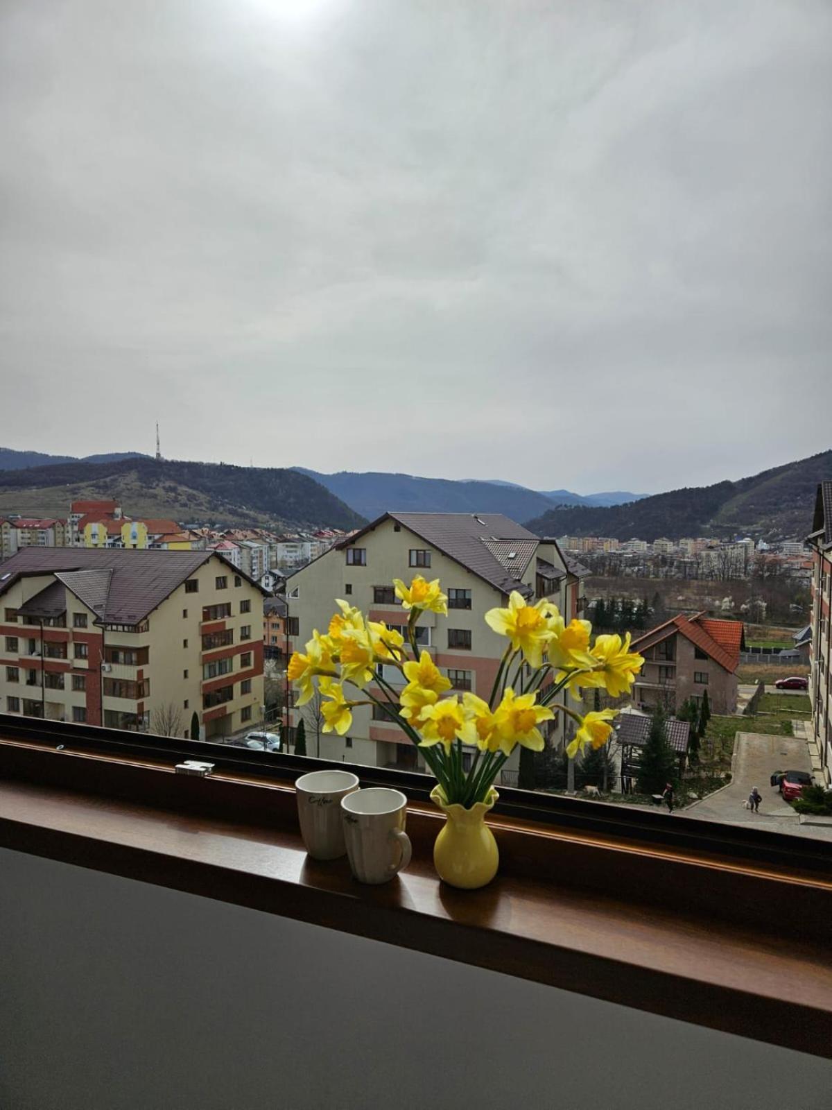 Tei Residence Piatra Neamţ Extérieur photo